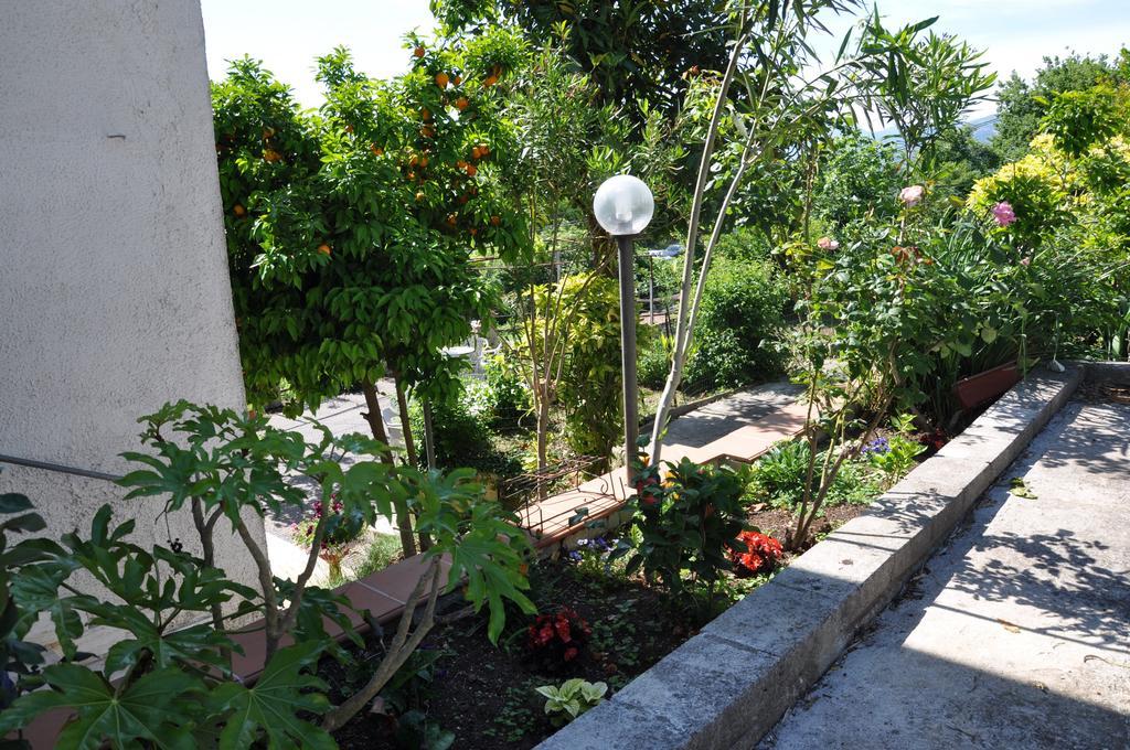 B&B La Palombara Giuliano di Roma Buitenkant foto